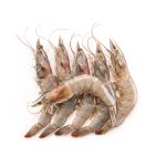 Crevettes Grises Surgelé