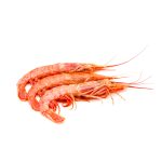 Crevettes GAMBON