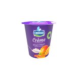 CHERGUI – Crème Mangue 110G Pack x8