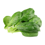 Épinards 500GR