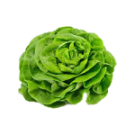 Laitue Vert à la Pièce