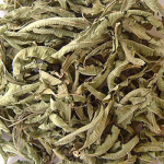 Verveine 50G