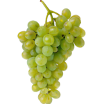 Raisin Blanc au Kg