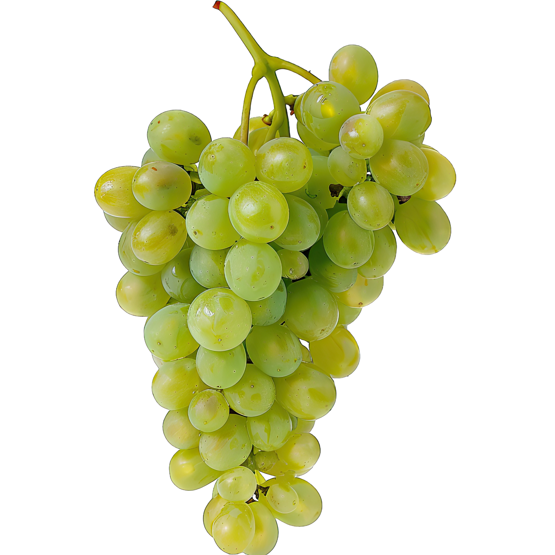 raisin blanc Raisin Blanc au Kg – Image 1